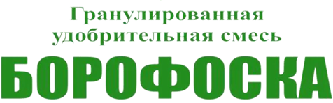 Логотип Борофоска
